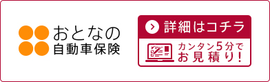 大人の自動車保険 - 安全な運転を守るための選択肢